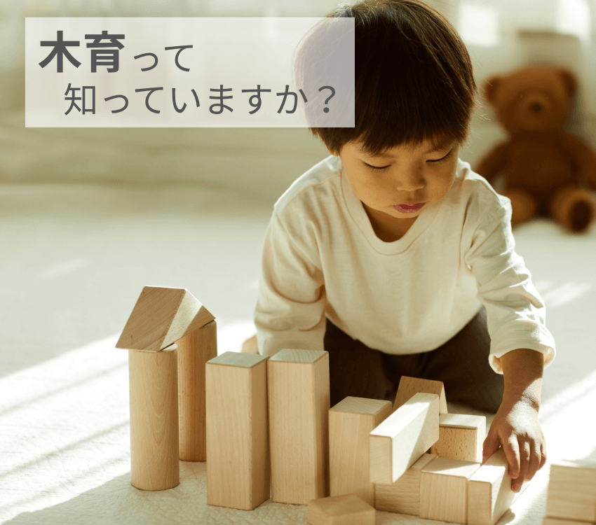 Child -playing- with- wooden- toys