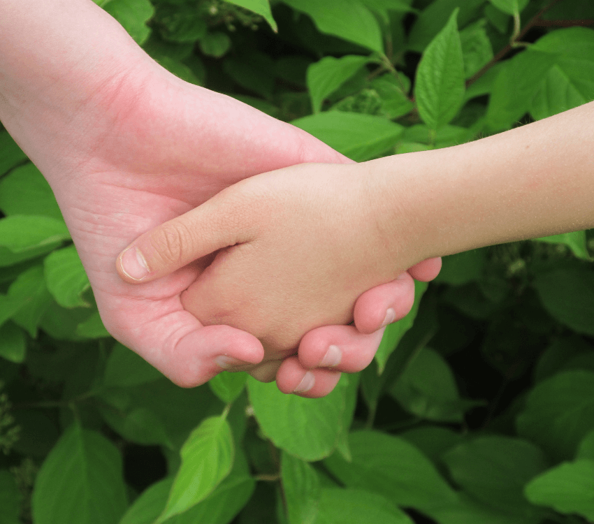 parent -and- child's -hands