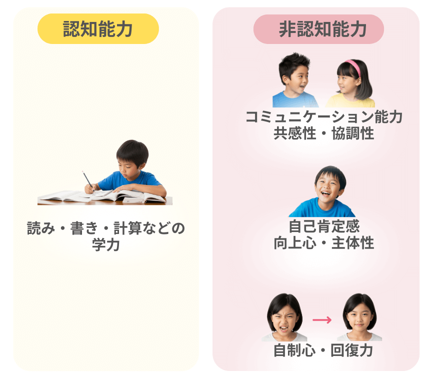 The- difference- between- non-cognitive- and- cognitive- abilities